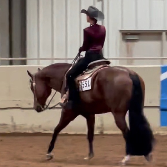 Meet your Posher, Bella - Picture 1 of 1